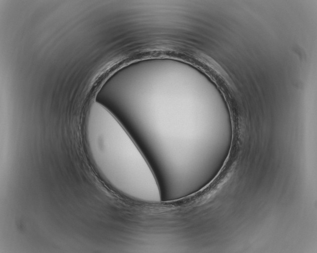 X0000113350826200909151024