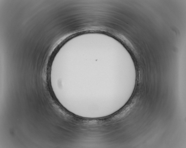 X0000113350828200909151024