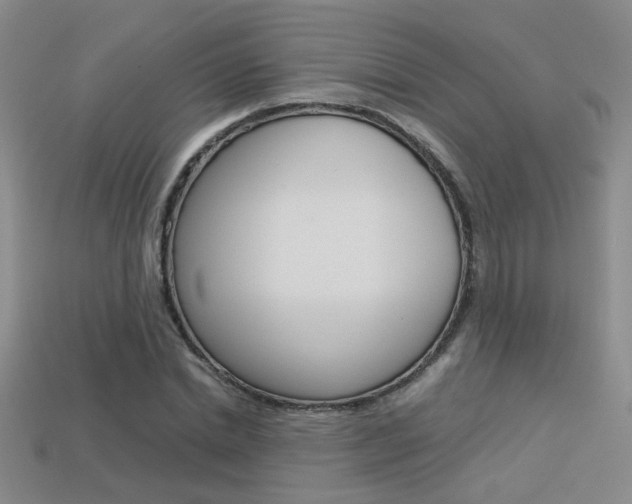 X0000113350830200909151024