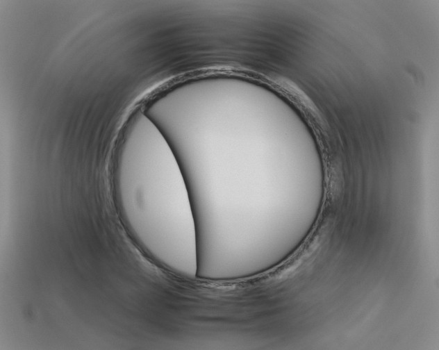 X0000113350831200909151024