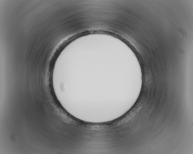 X0000113350832200909151024