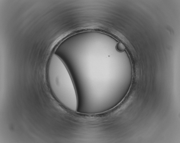 X0000113350834200909151024