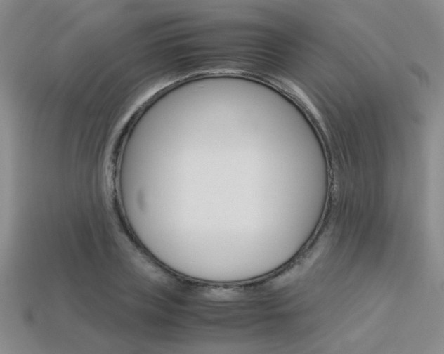 X0000113350835200909151024