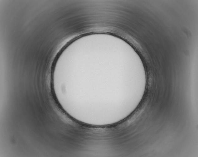X0000113350836200909151024
