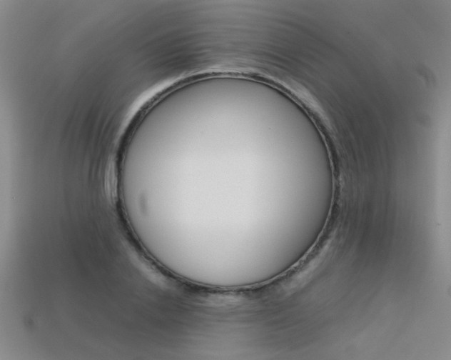 X0000113350838200909151024