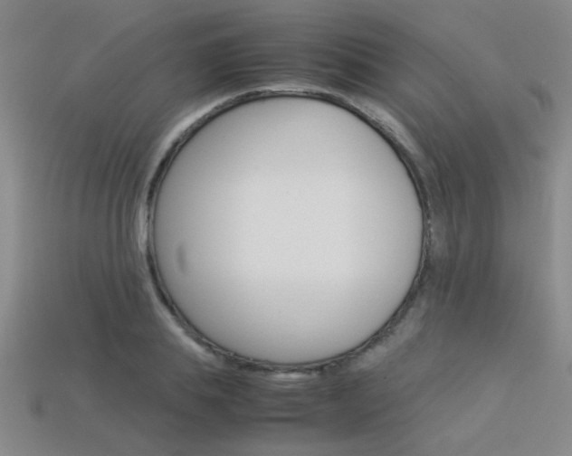 X0000113350839200909151024