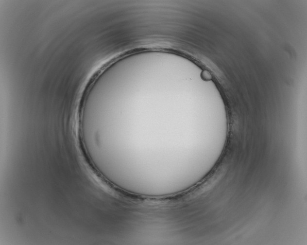 X0000113350840200909151024