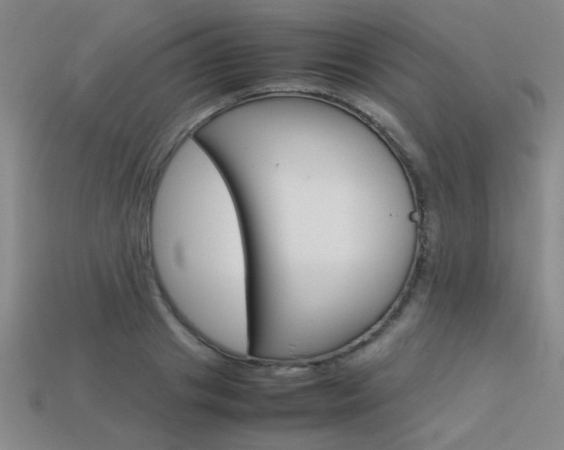 X0000113350841200909151024