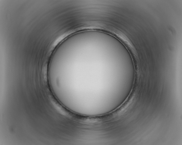 X0000113350842200909151024