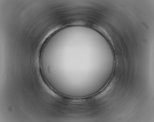 X0000113350843200909151024