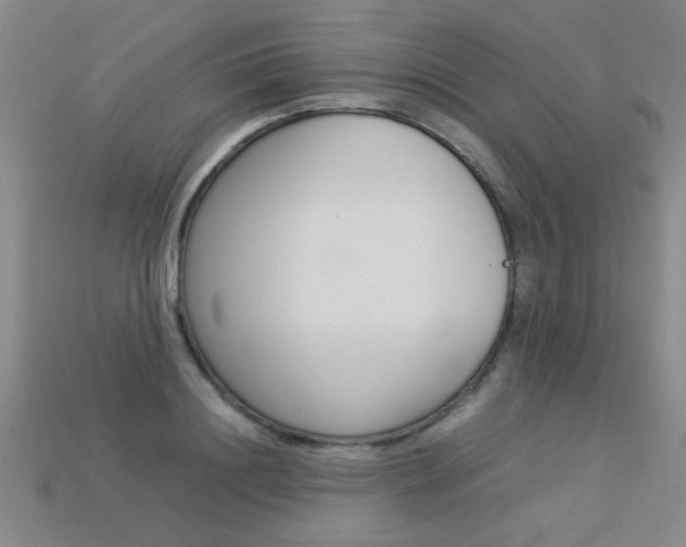 X0000113350844200909151024