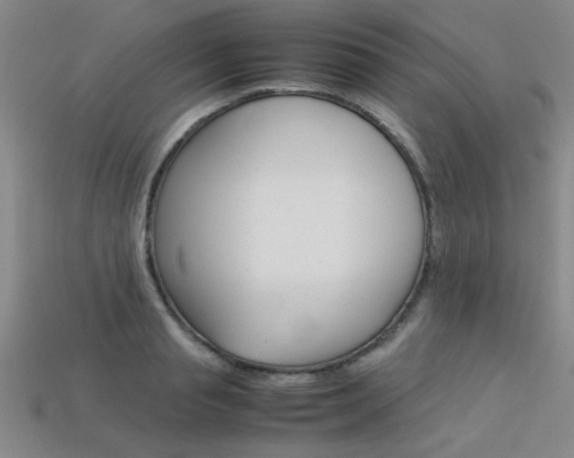 X0000113350845200909151024