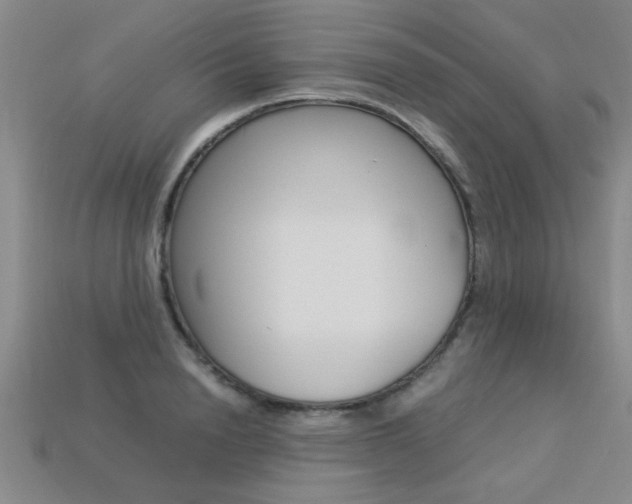 X0000113350846200909151024