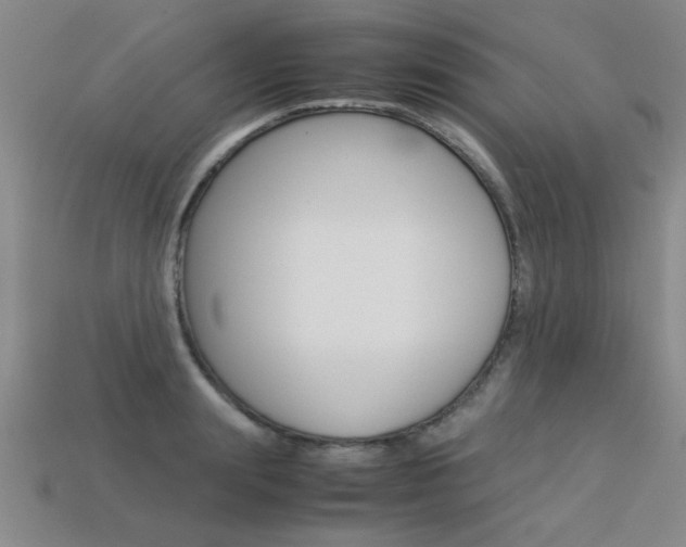 X0000113350847200909151024