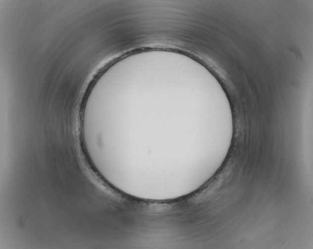 X0000113350848200909151024