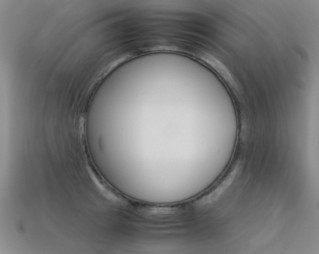 X0000113350849200909151024