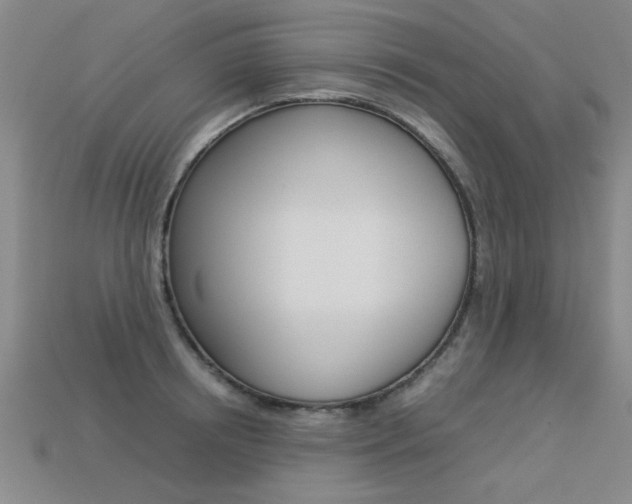 X0000113350850200909151025