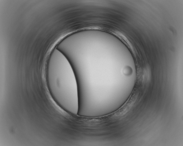 X0000113350851200909151025