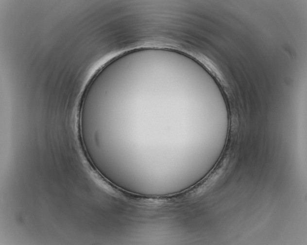 X0000113350854200909151025