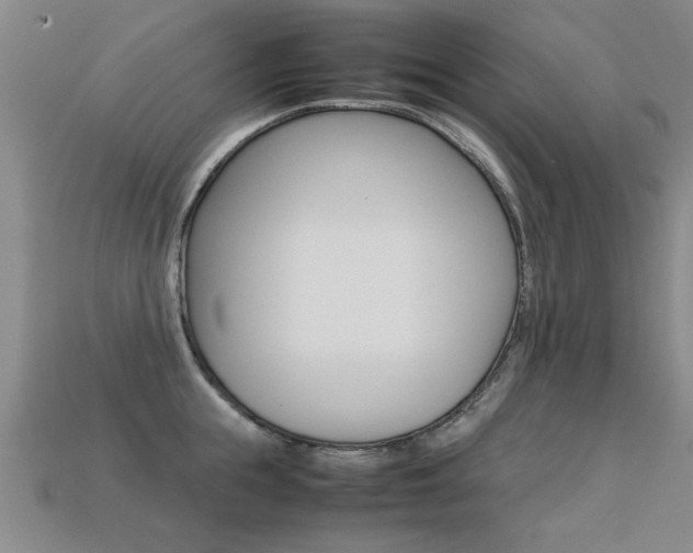 X0000113350855200909151025