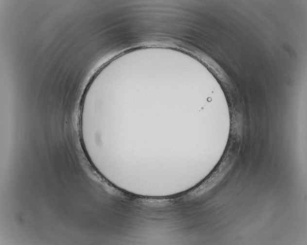X0000113350856200909151025
