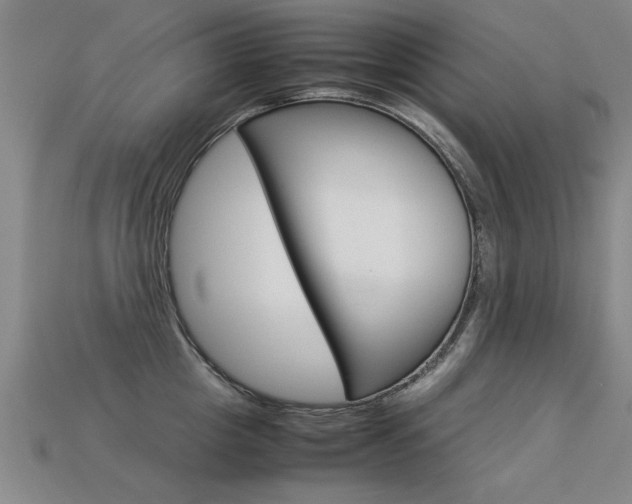 X0000113350857200909151025