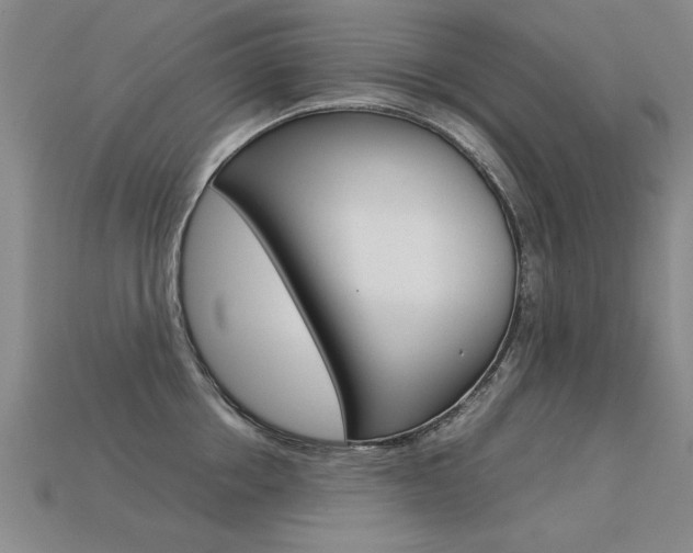 X0000113350858200909151025