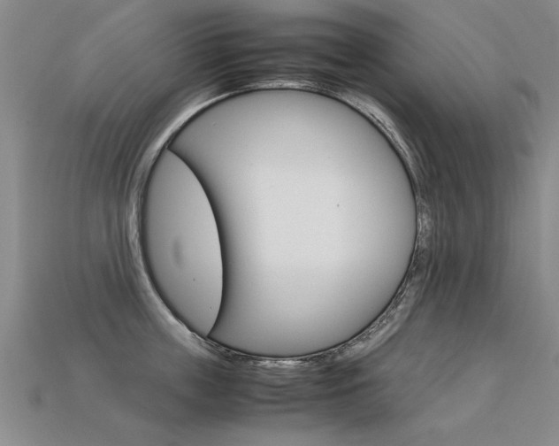 X0000113350859200909151025