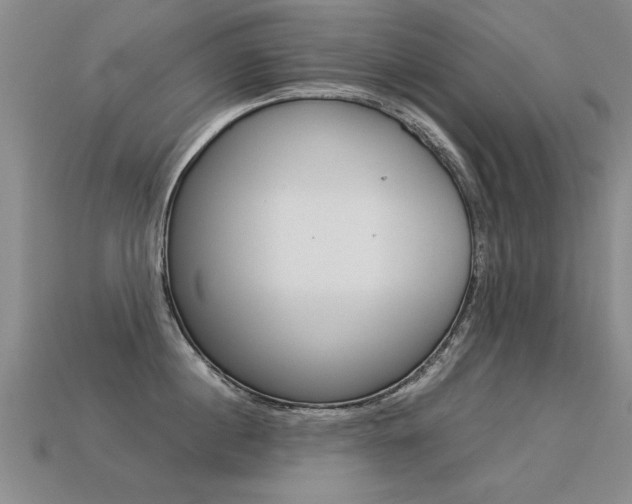 X0000113350860200909151025