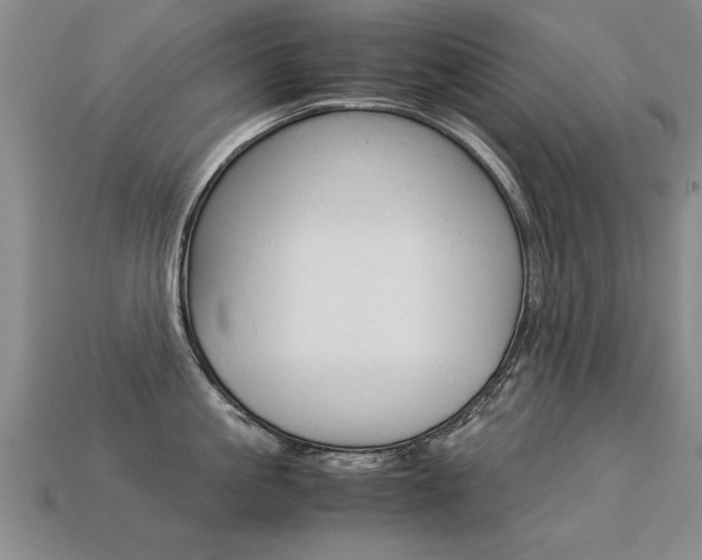 X0000113350861200909151025