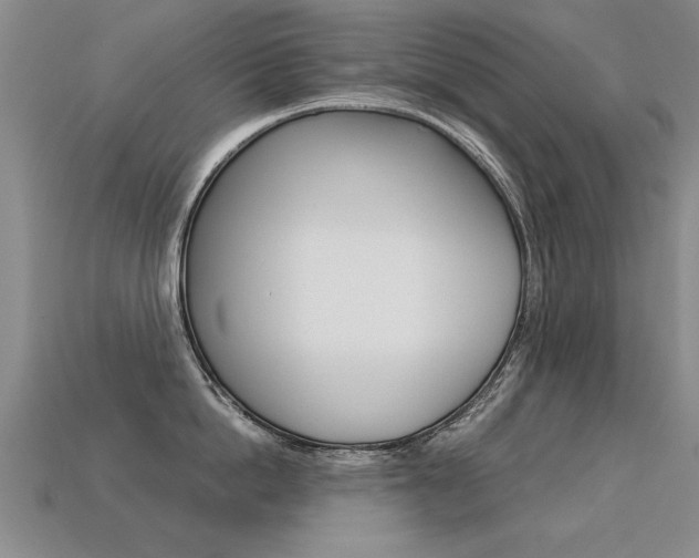 X0000113350862200909151025