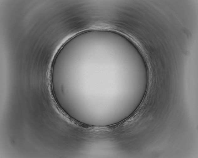 X0000113350864200909151025
