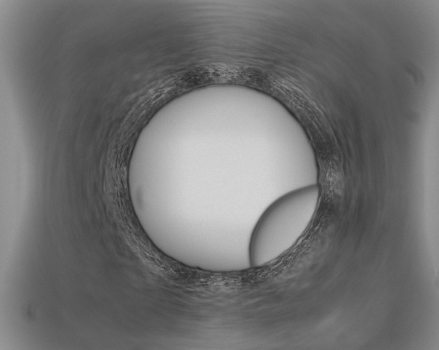 X0000113350865200909151024