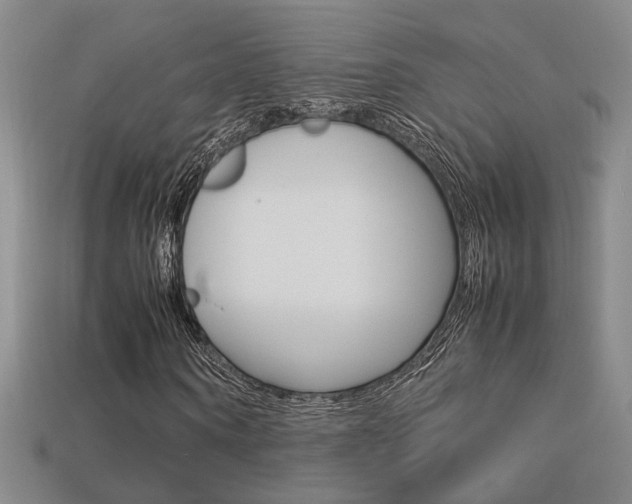 X0000113350866200909151024