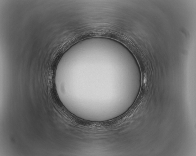 X0000113350867200909151024