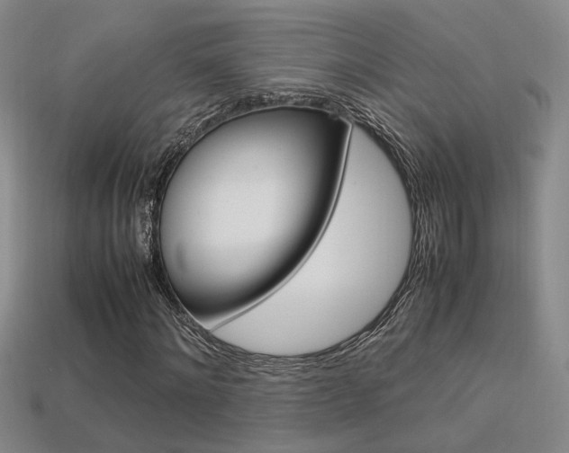 X0000113350868200909151024