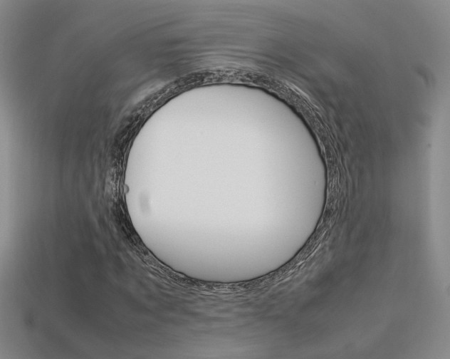 X0000113350869200909151024