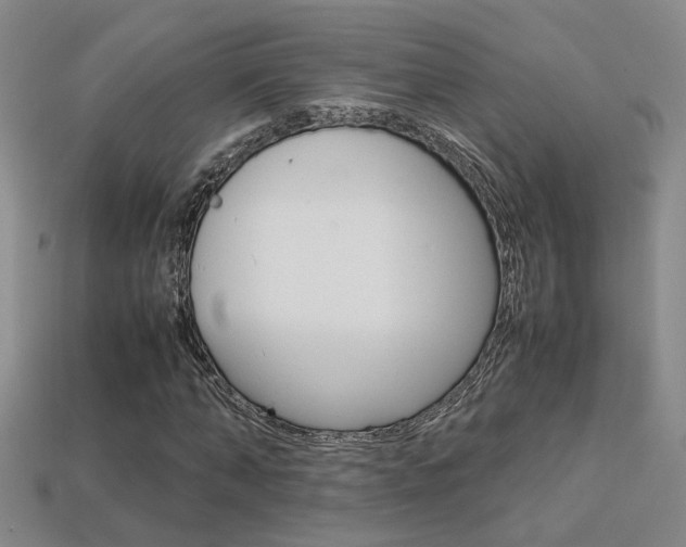 X0000113350870200909151024