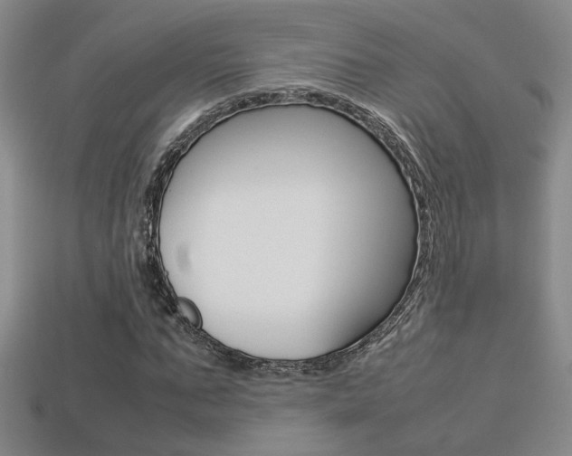 X0000113350871200909151024