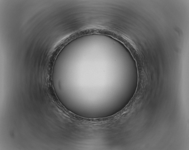 X0000113350872200909151024