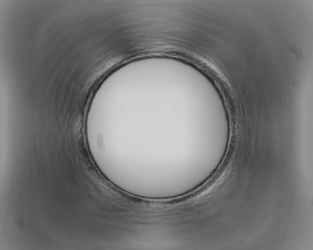 X0000113350873200909151024