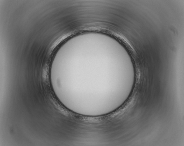 X0000113350874200909151024