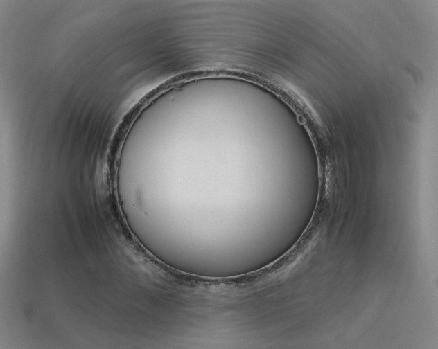 X0000113350876200909151024