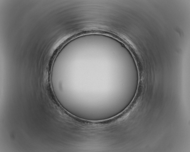 X0000113350877200909151024