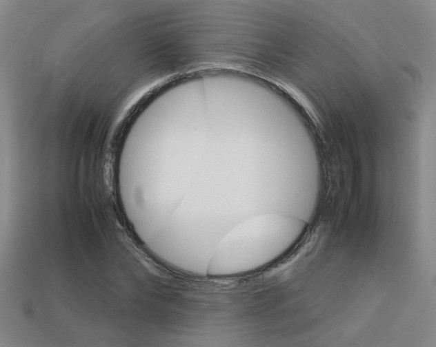 X0000113350878200909151024