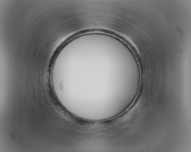 X0000113350879200909151024
