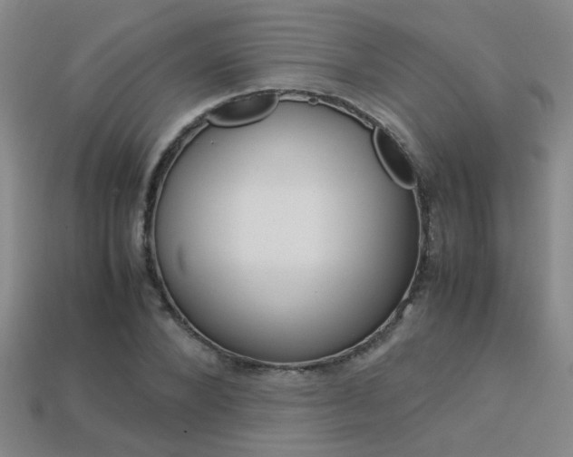X0000113350880200909151024
