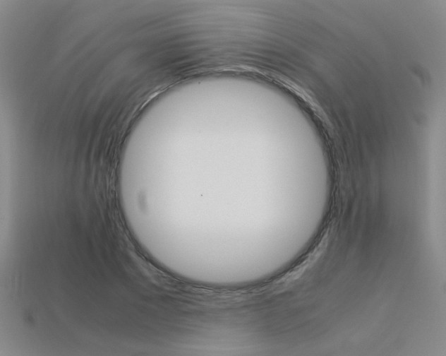 X0000113350881200909151024