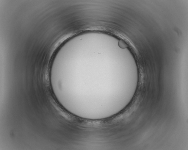 X0000113350882200909151024