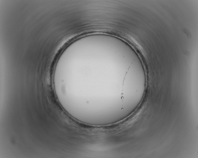 X0000113350883200909151024
